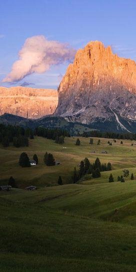 1-53130732798219-40428076204299.jpeg