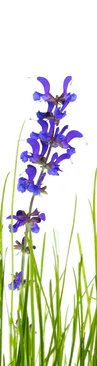 1-53132131926283-44325407129867.jpeg