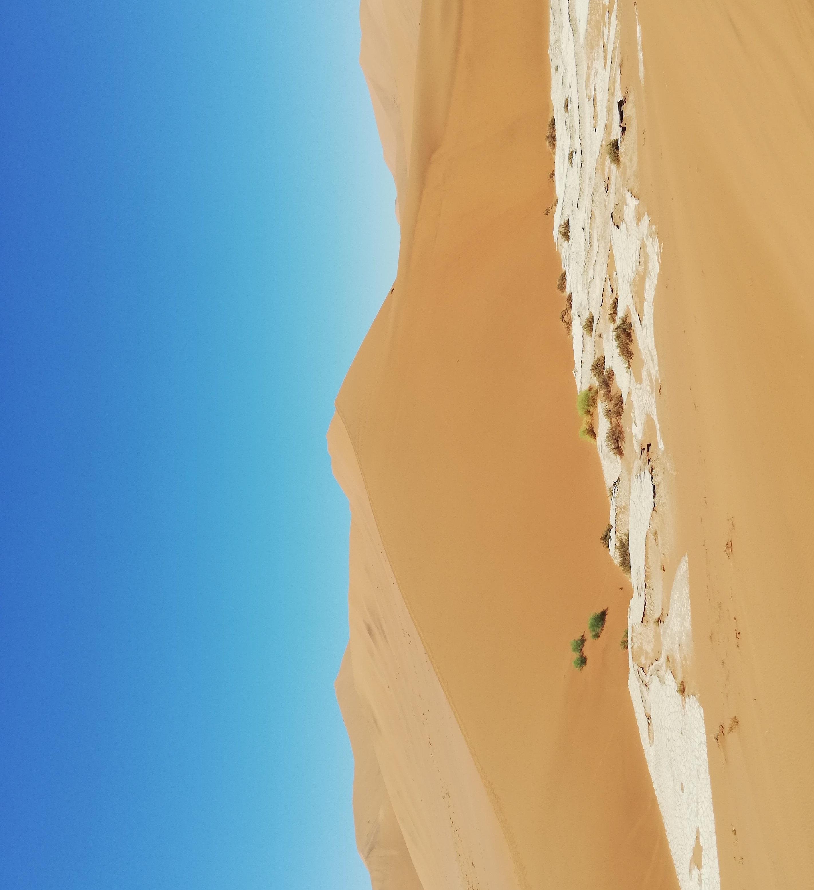 1-53150580474123-40428076204299.jpeg