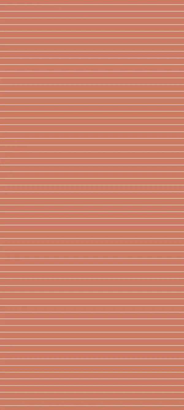 1-53162941448459-66090348445963.jpeg