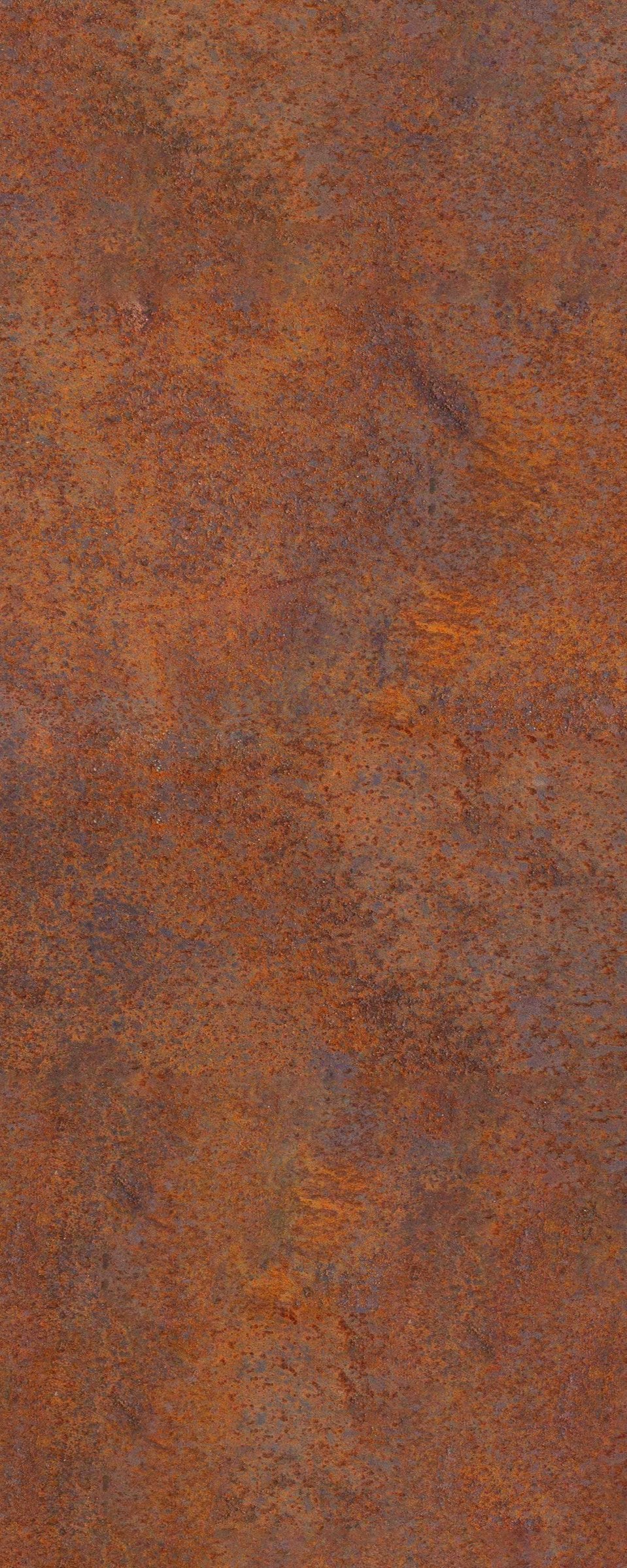 1-53177338888459-66100667678987.jpeg