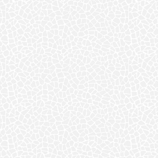 1-53182946017547-50962353848587.jpeg
