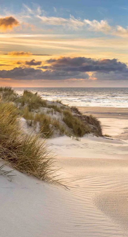 1-53188050288907-66101366489355.jpeg