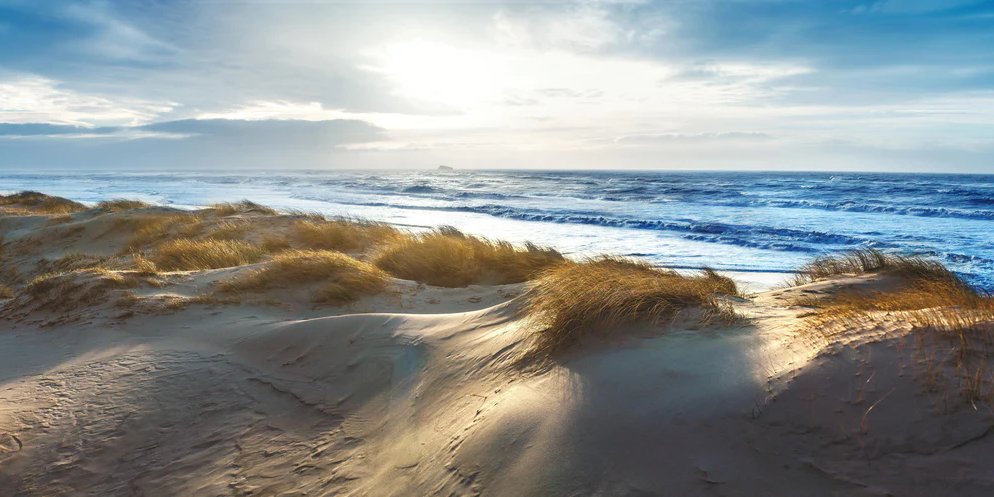 1-53206627582219-48382292295947.jpeg