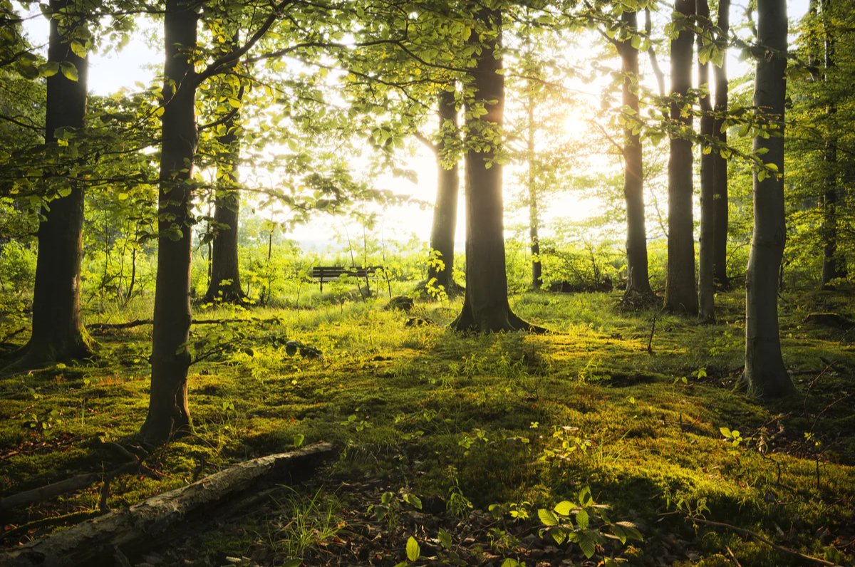 1-53212652798219-64559324659979.jpeg