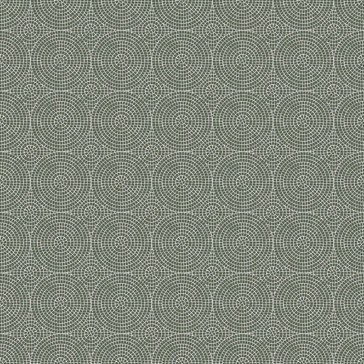 1-53218952151307-66092785762571.jpeg