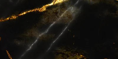 1-53231444623627-44329408332043.jpeg