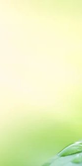 1-53233222353163-64524126322955.jpeg