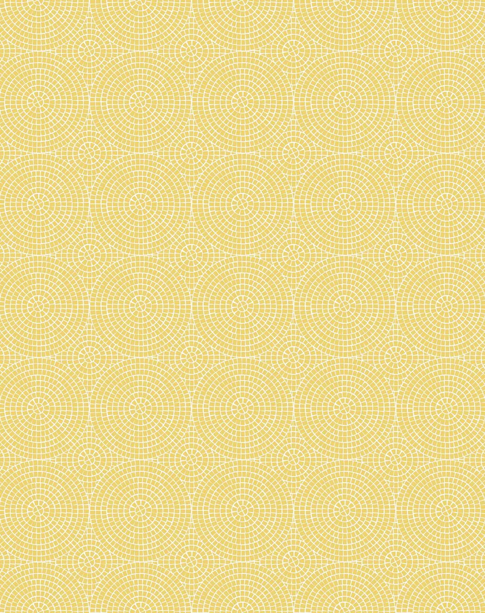 1-53243531329803-66093084803339.jpeg