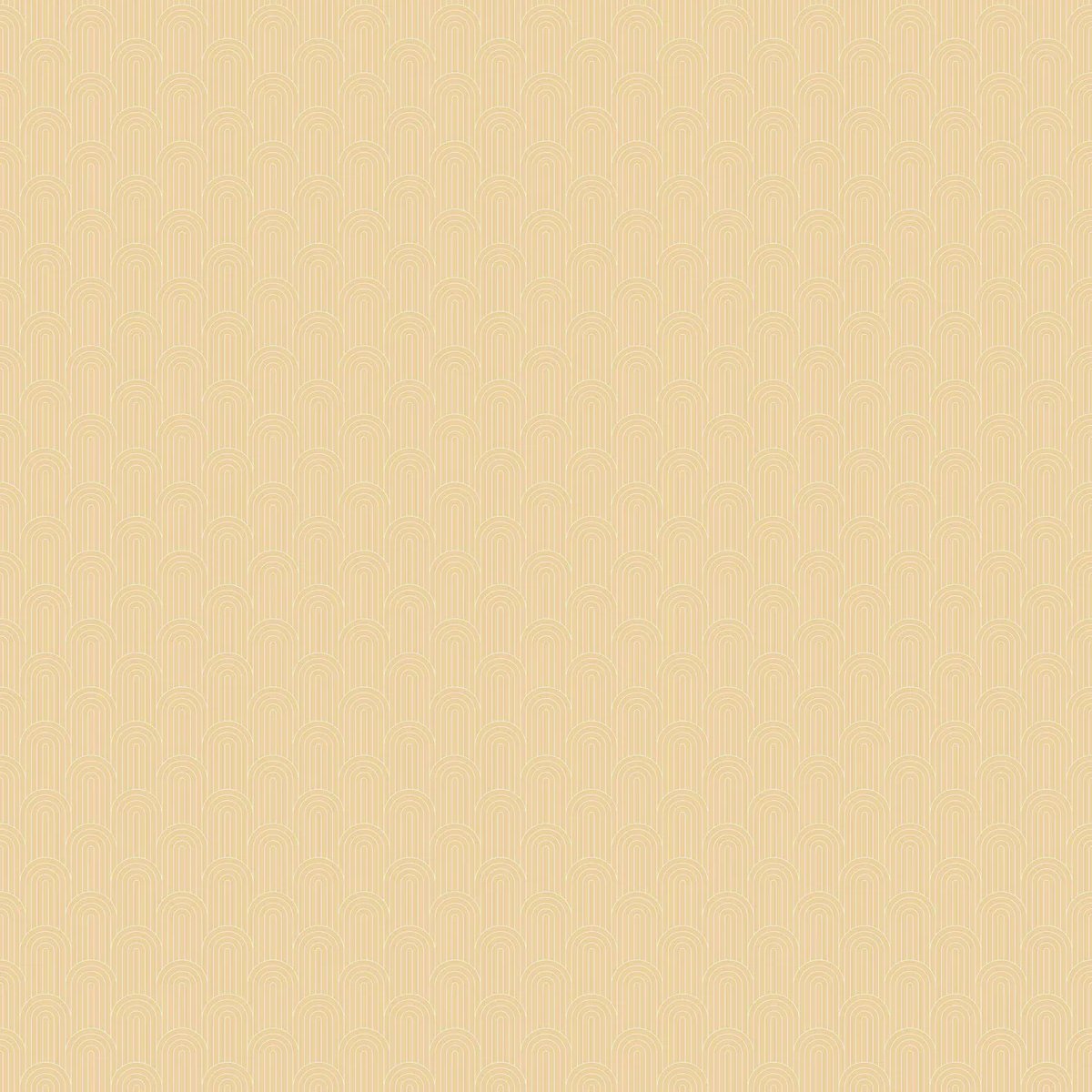 1-53248582648075-66095550529803.jpeg