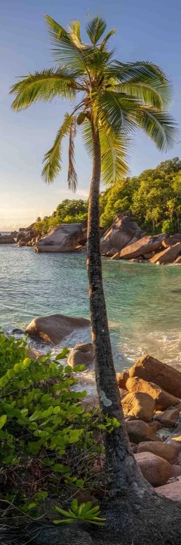 1-53272176984331-66101018525963.jpeg