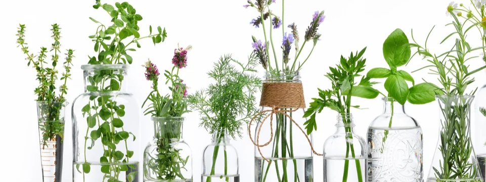 1-53279873237259-46341954437387.jpeg