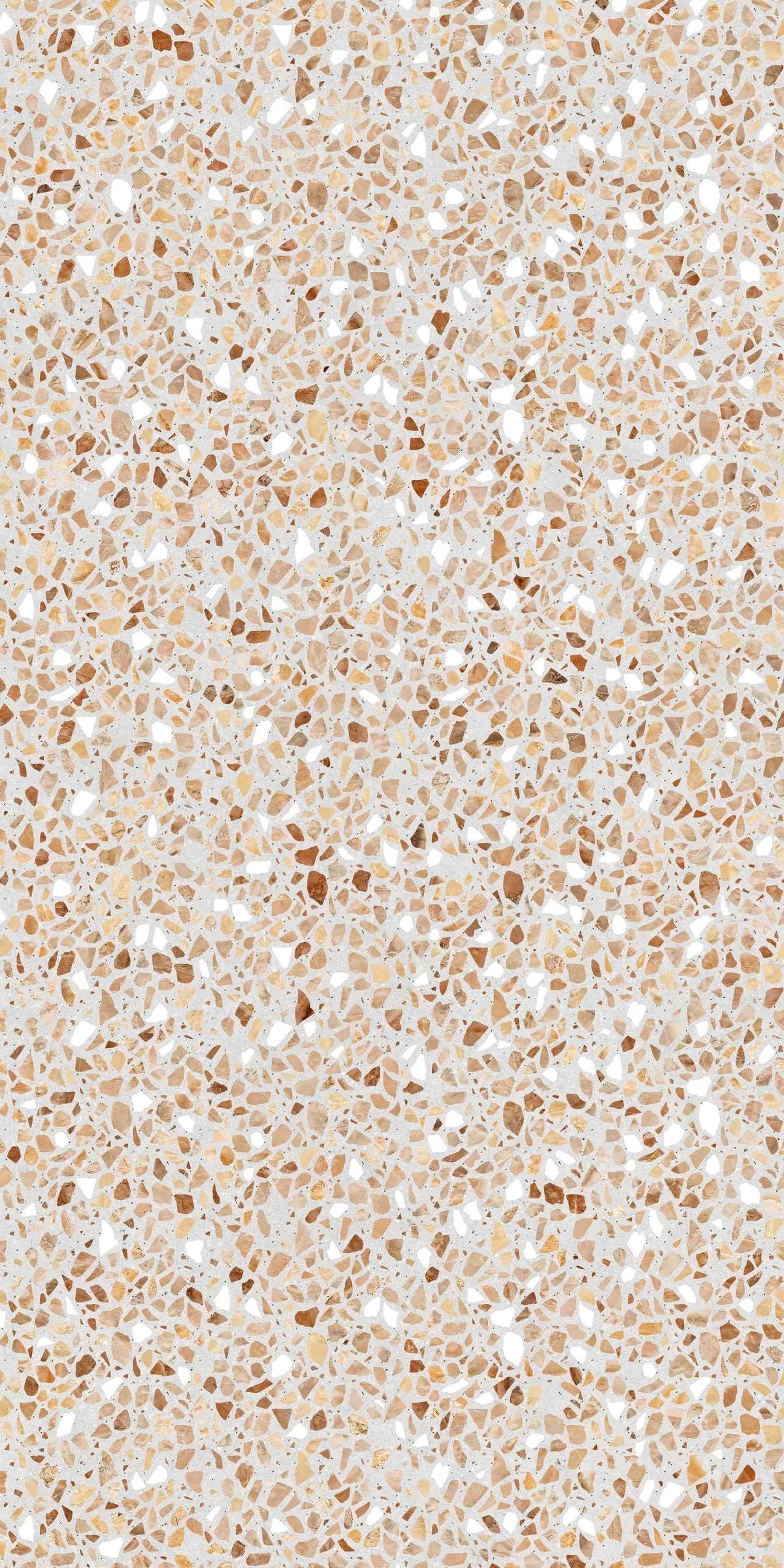 1-53289873834251-66101371830539.jpeg