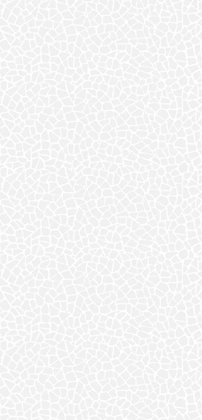 1-53291101978891-66093746061579.jpeg