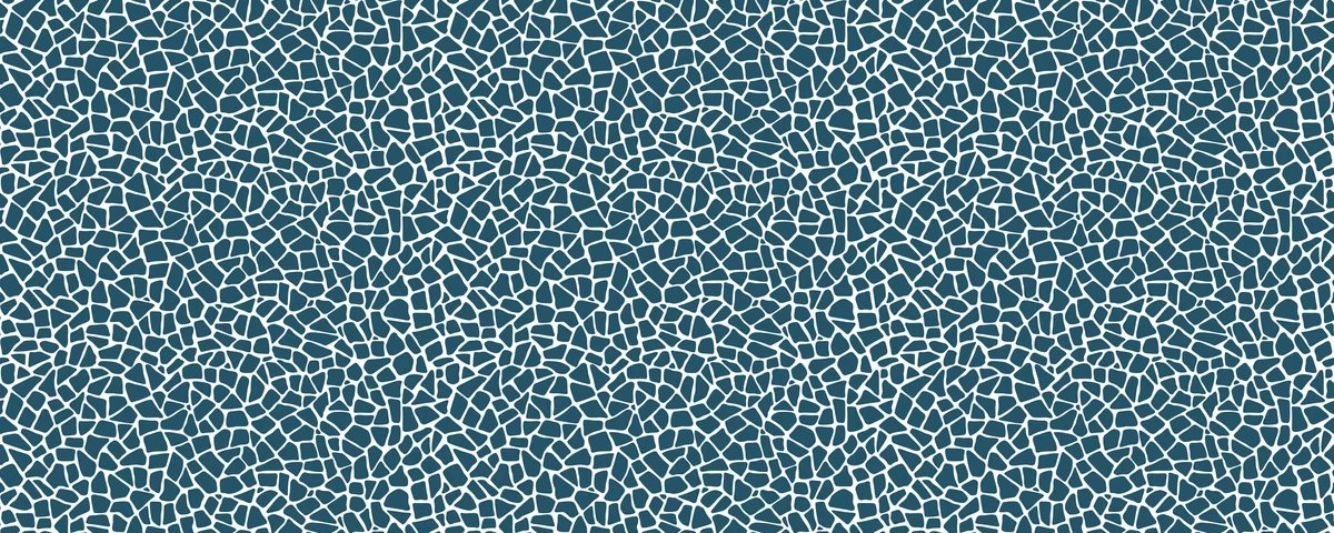 1-53297102061835-50952221688075.jpeg
