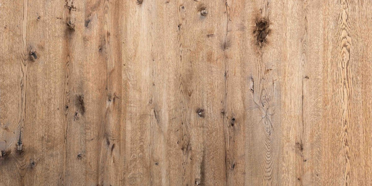 1-53297862148363-66288536649995.jpeg