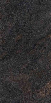 1-53302906061067-64982654583051.jpeg