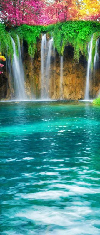 1-53329469571339-44343356326155.jpeg