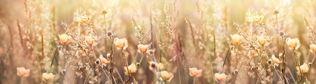 1-53332176175371-44325476761867.jpeg