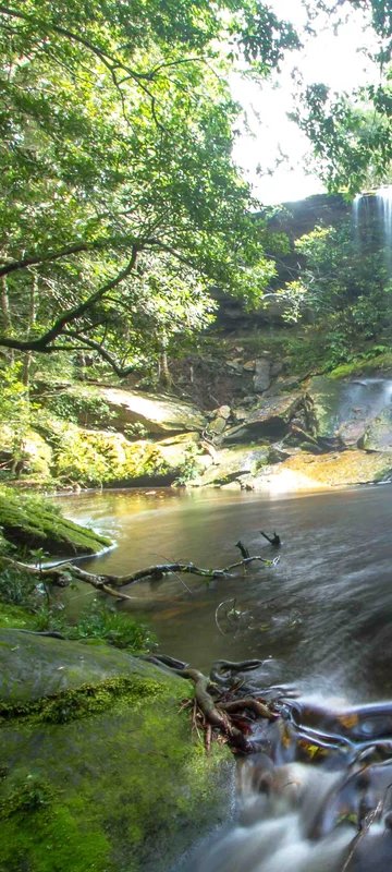1-53343201132811-66101381562635.jpeg