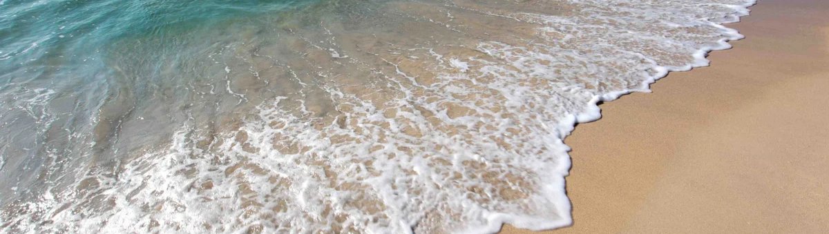 1-53343626526987-66286461878539.jpeg