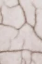 10-52855398826251-45938873008395.png