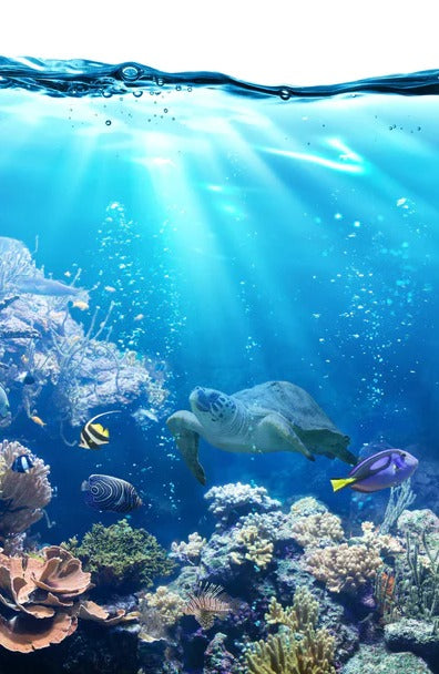 Duschrückwand - Ozeantiere - Unterwasser