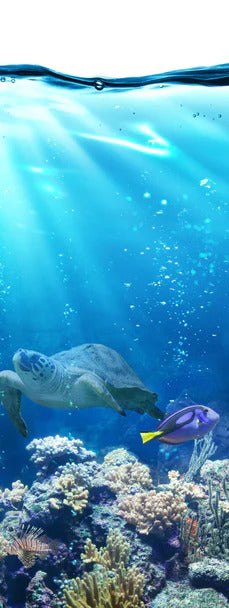 Duschrückwand - Ozeantiere - Unterwasser