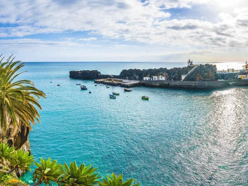 Duschrückwand - Camara de Lobos