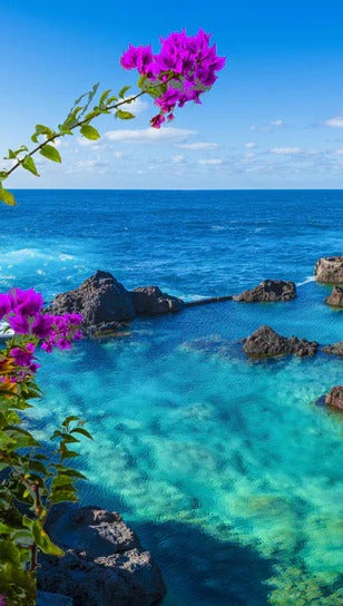 Duschrückwand - Naturpool in Porto Moniz