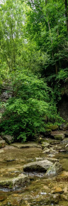 Duschrückwand - Wasserfall im Wald - Utopie