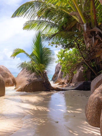 Duschrückwand - Der Traumstrand - Anse Source d Argent