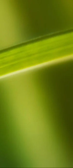 Duschrückwand - Wassertropfen