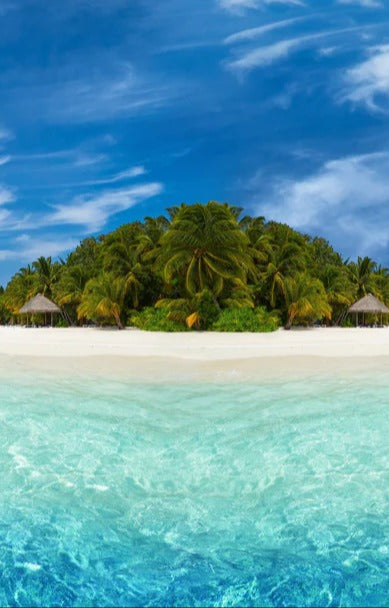 Duschrückwand - Tropische Insel mit Kokospalmen