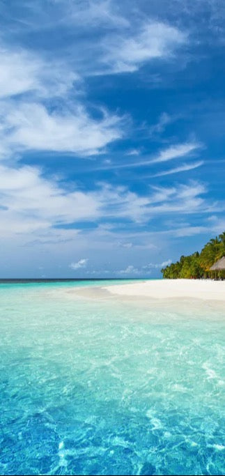 Duschrückwand - Tropische Insel mit Kokospalmen