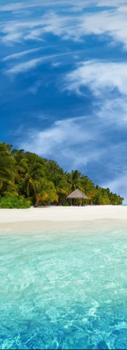 Duschrückwand - Tropische Insel mit Kokospalmen