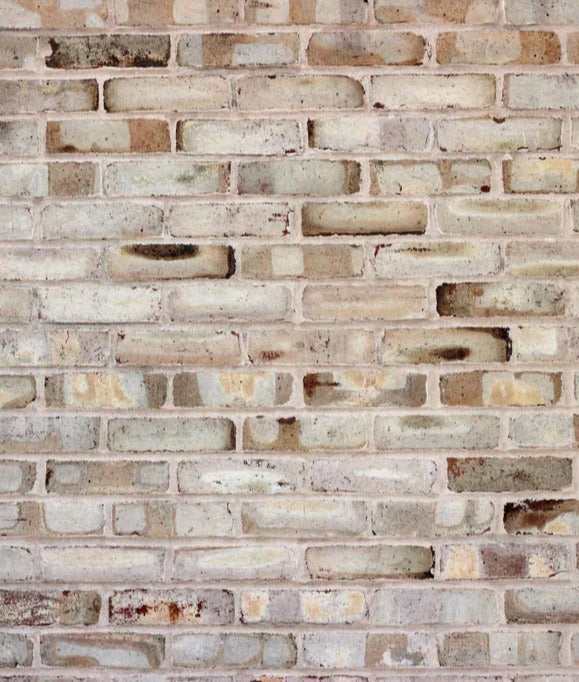 Duschrückwand - Braune verschimmelte Ziegelmauer