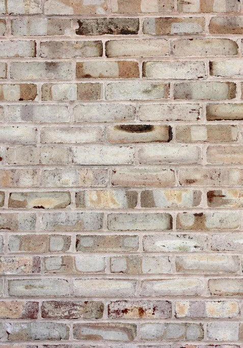 Duschrückwand - Braune verschimmelte Ziegelmauer