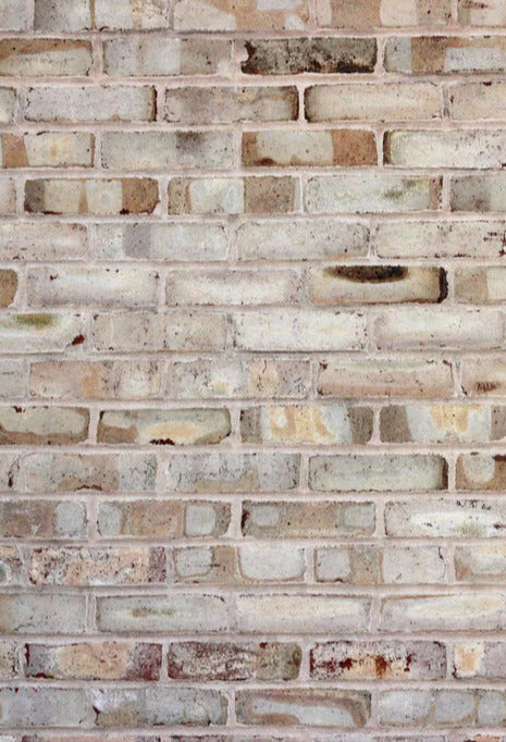 Duschrückwand - Braune verschimmelte Ziegelmauer