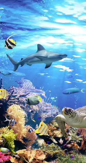 Duschrückwand - Vielfältige Unterwasserwelt