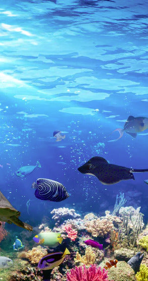 Duschrückwand - Vielfältige Unterwasserwelt