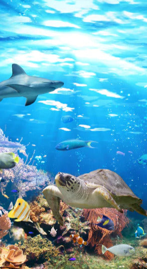 Duschrückwand - Vielfältige Unterwasserwelt