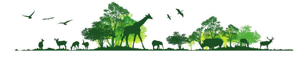 Küchenrückwand - Wilde Tiere