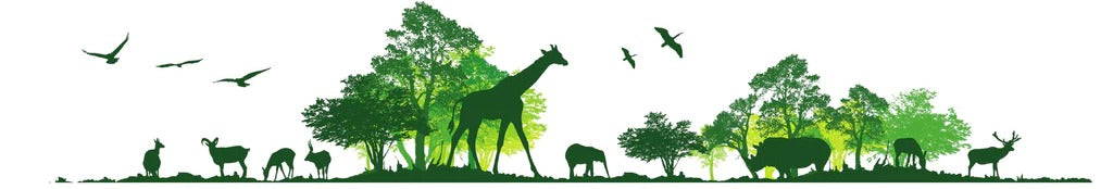 Küchenrückwand - Wilde Tiere