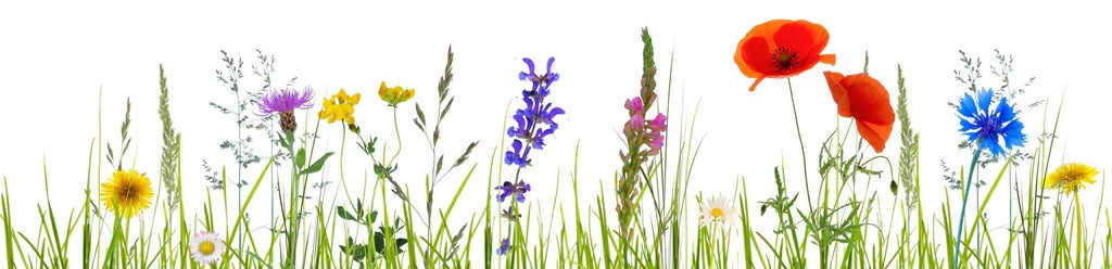 Küchenrückwand - Blumenwiese