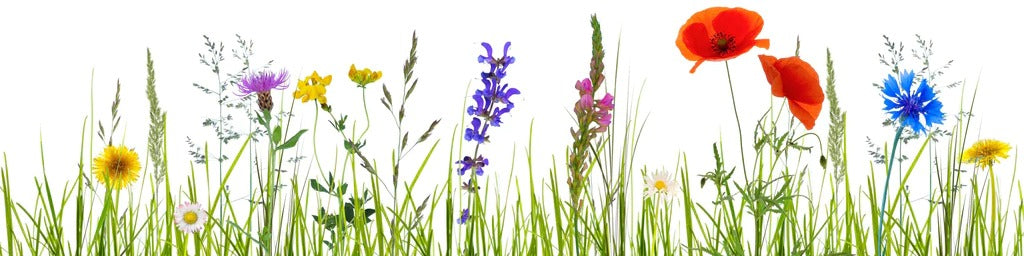 Küchenrückwand - Blumenwiese