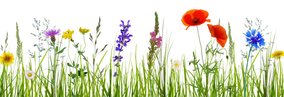 Küchenrückwand - Blumenwiese