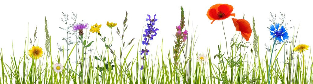 Küchenrückwand - Blumenwiese