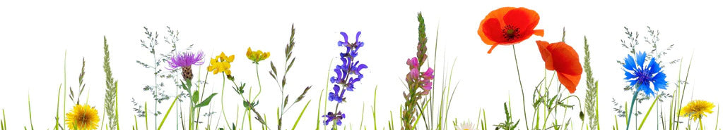 Küchenrückwand - Blumenwiese