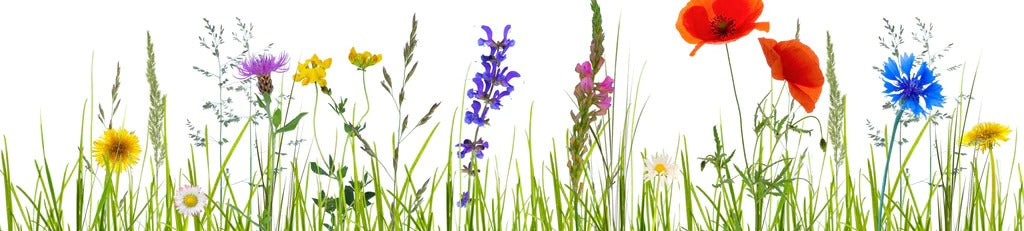 Küchenrückwand - Blumenwiese